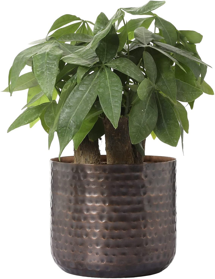 Round 6-Inch Metal Planter Brass Tone Flower Pot with Hammered Texture