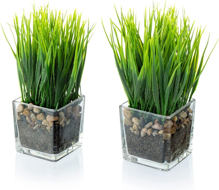 Set of 2, Artificial Grass Plants in Square Clear Glass Pots with Faux Pebbles and Soil, Potted Greenery-MyGift