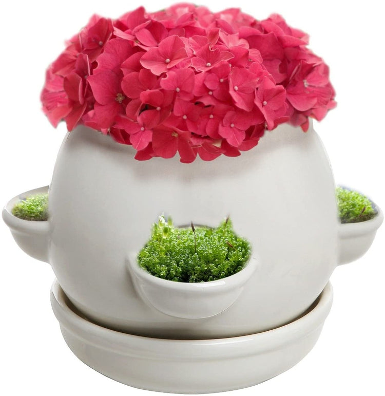 Decorative 4 Side Openings White Ceramic Planter Pot with Saucer-MyGift