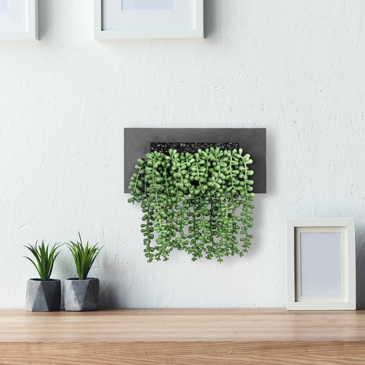 Wall Mounted Or Tabletop Artificial String Of Pearl Plants Arrangement ...