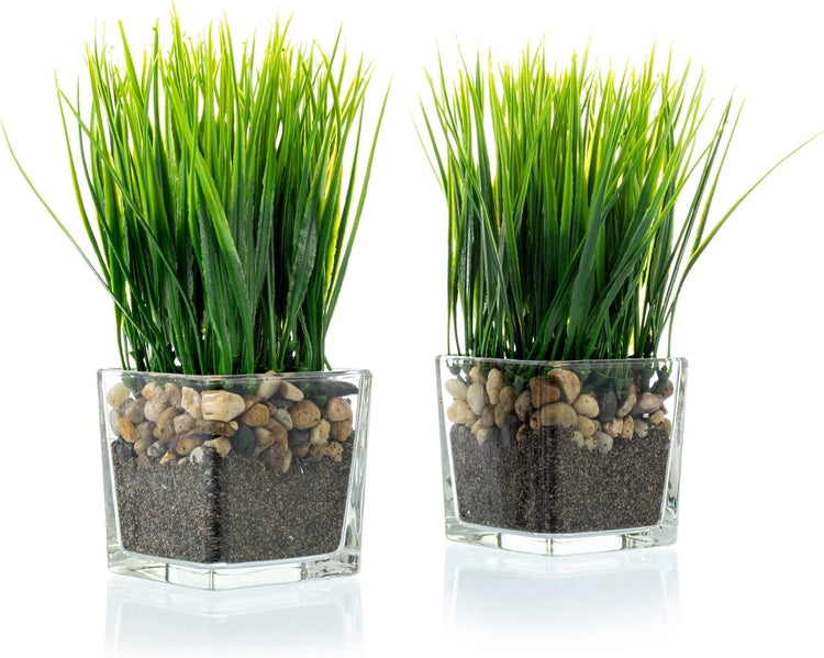 Set of 2, Artificial Grass Plants in Square Clear Glass Pots with Faux Pebbles and Soil, Potted Greenery-MyGift