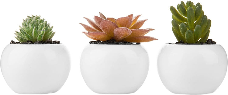 Mini Artificial Succulent Plants in Geometric Plant Pots – MyGift