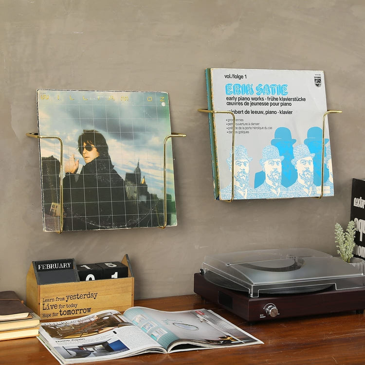wall mounting vinyl record display holder