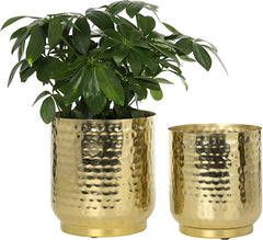 Hammered Brass Tone Metal Planter Pots, Decorative Flower Pot Plant Co –  MyGift