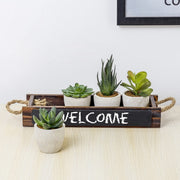 Mini Assorted Faux Succulents, Artificial Plants in Concrete Planters, Dark Brown Wood Window Box with Chalkboard Label-MyGift