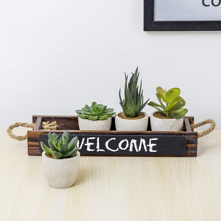 Mini Assorted Faux Succulents, Artificial Plants in Concrete Planters, Dark Brown Wood Window Box with Chalkboard Label-MyGift