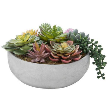 Artificial Succulent Plant Arrangement in Concrete Pot – MyGift