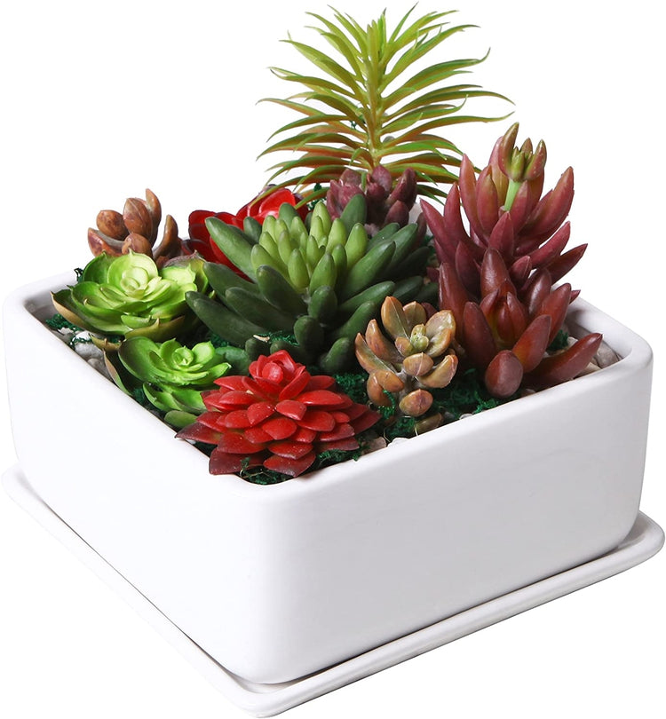 Modern 7 inch Square White Ceramic Succulent Planter Pot with Drainage Tray, Window Box & Saucer-MyGift