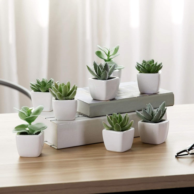 Set of 4 Mini Assorted Green Artificial Succulent Plants in Square White Glazed Ceramic Planter Pots-MyGift