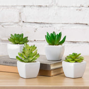 Set of 4 Mini Artificial Succulent Plants in White Ceramic Planter Pots-MyGift