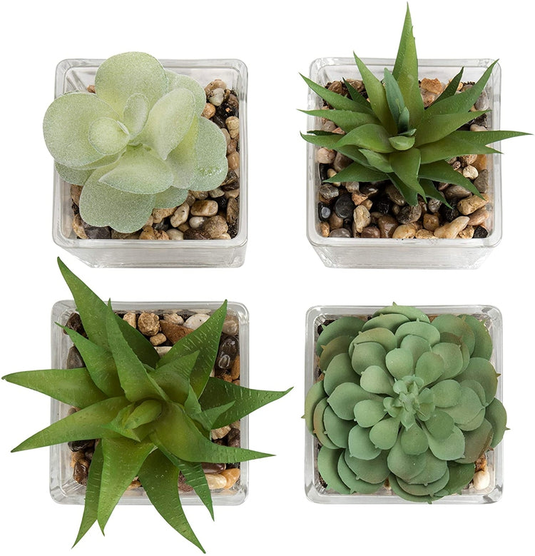 Succulent in Glass Pot - Set of 3 - 47th & Main