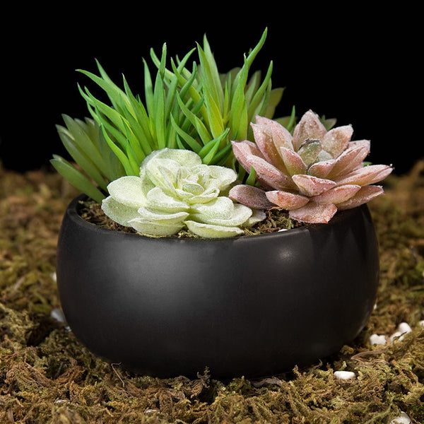 Mini Artificial Succulent Arrangement in Black Ceramic Round Plant Bow ...