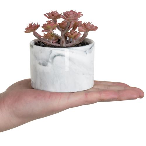 Mini Artificial Succulents in Marbled Ceramic Planters, Set of 4-MyGift