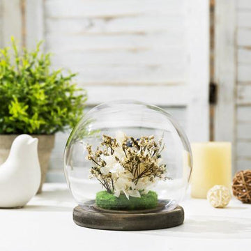 Glass Terrarium & Globe Cloche with Gray Wood Base – MyGift