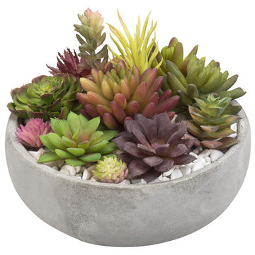 Minimalist Round Gray Cement Succulent Planter Bowl, 8 Inch Size – MyGift