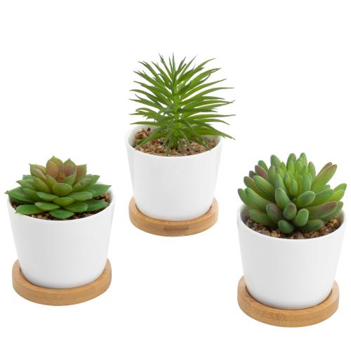 Mini Artificial Succulents in White Ceramic Pots w/ Bamboo Saucers, Set of 3-MyGift