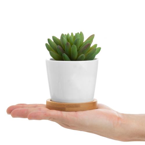 Mini Artificial Succulents in White Ceramic Pots w/ Bamboo Saucers, Set of 3-MyGift