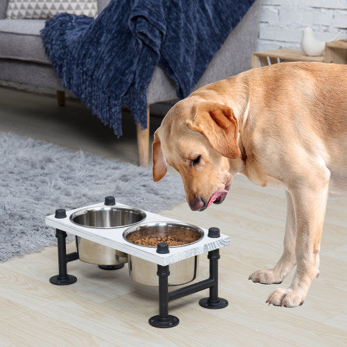 Double pet outlet feeder