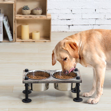 Torched Wood and Industrial Style Pipe Dog Feeder with Stand – MyGift