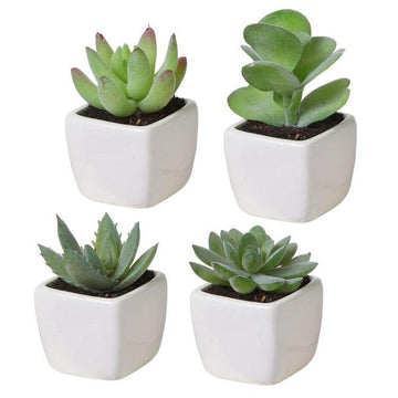 Buy Artificial House Planters for Indoor & Outdoor – MyGift