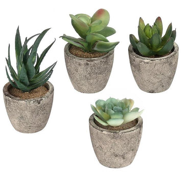 Artificial Succulent Plants with Pots, Set of 4 – MyGift