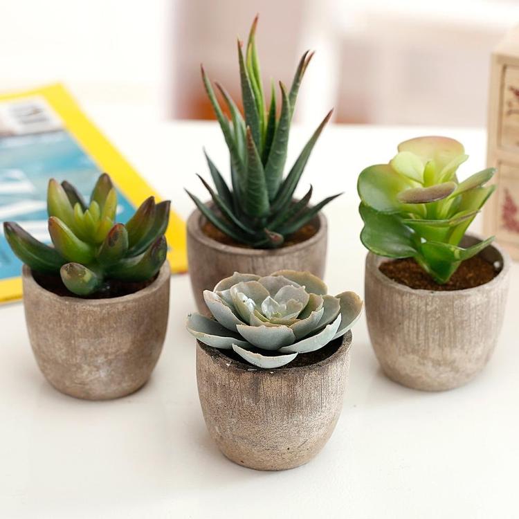 Assorted Decorative Artificial Succulent Plants with Gray Pots, Set of 4 - MyGift Enterprise LLC