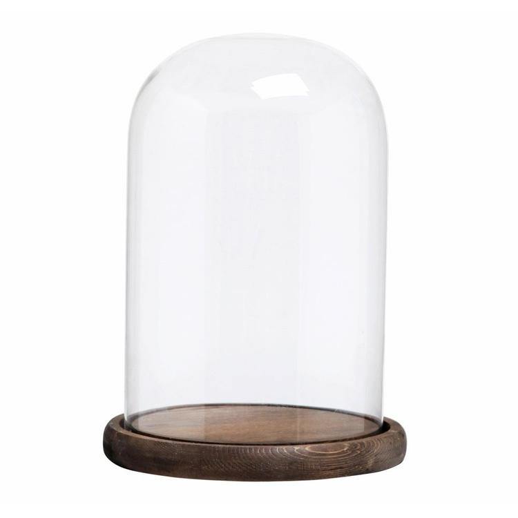 Clear Glass Cloche Bell Jar Display Case - MyGift