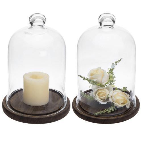 Clear Glass Cloche Display with Brown Wood Base, Set of 2 - MyGift