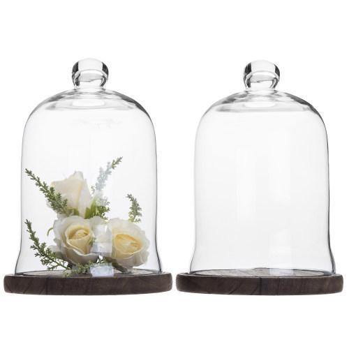 Clear Glass Cloche Display with Brown Wood Base, Set of 2 - MyGift