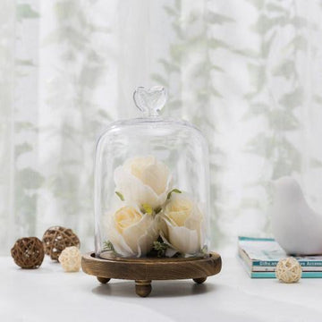 Glass Dome with Heart Handle & Brown Wooden Base – MyGift