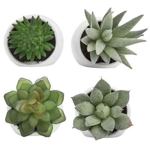 Mini Artificial Succulent Plants in Geometric Plant Pots – MyGift