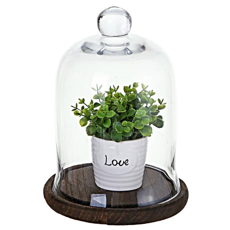 Clear Glass Jar / Cloche Dome Display Centerpiece with Brown Wood Base - MyGift Enterprise LLC