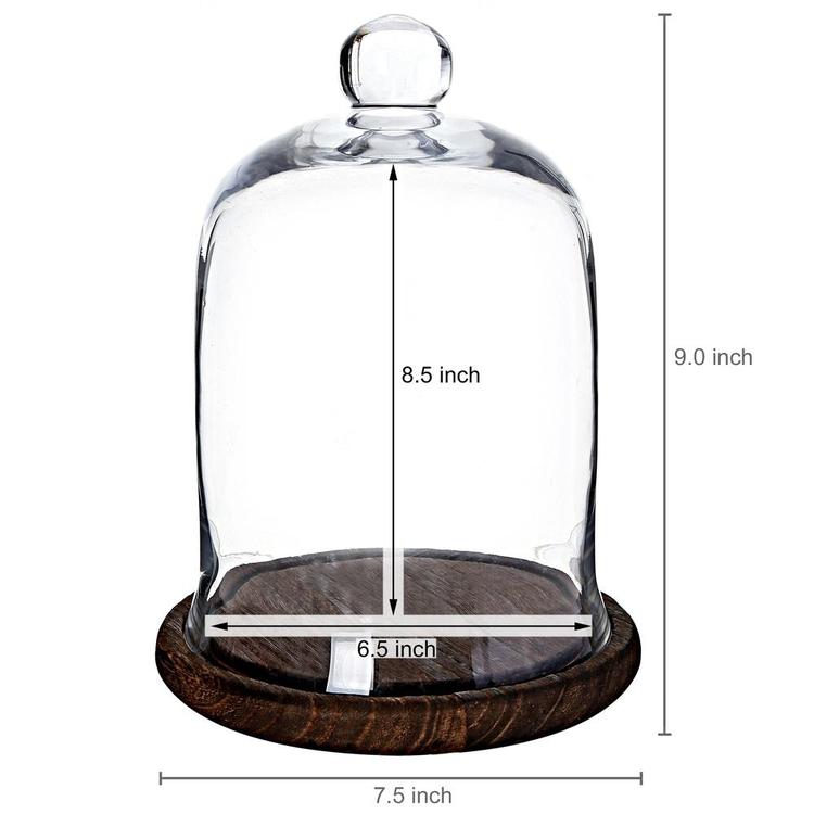 Clear Glass Jar / Cloche Dome Display Centerpiece with Brown Wood Base - MyGift Enterprise LLC