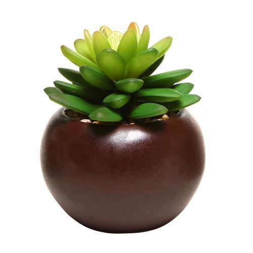 Artificial Mini Succulent Plants in Brown Planter, Set of 3 - MyGift