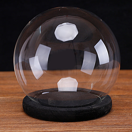 Clear Glass Terrarium w/ Black-Stain Wood Base-MyGift